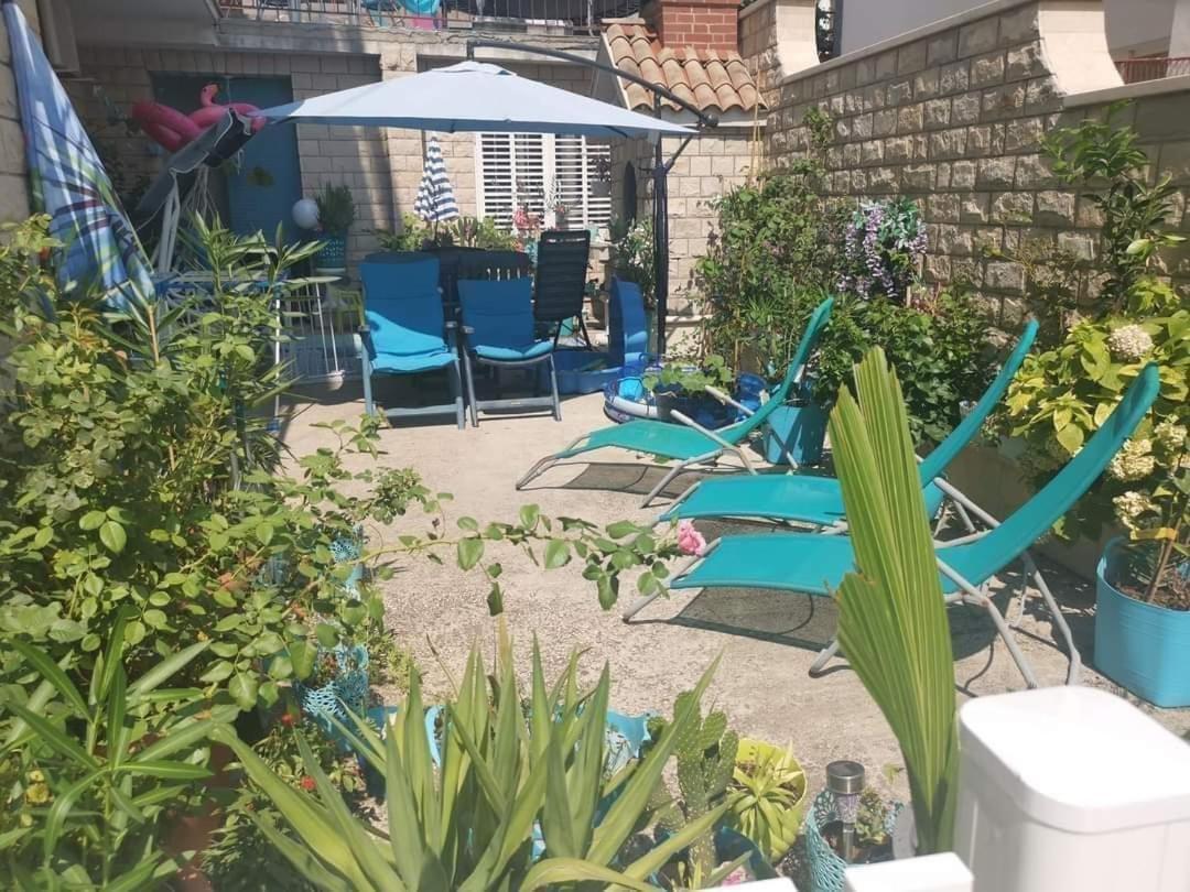 Blue Oasis 2-6 *