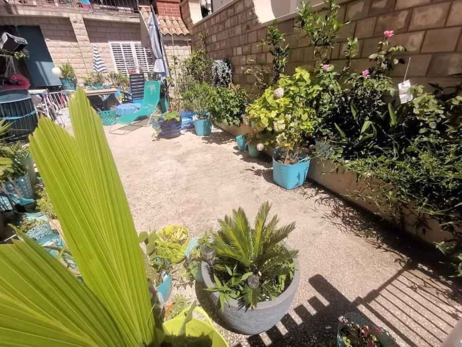 Apartment Blue Oasis 2-6 *