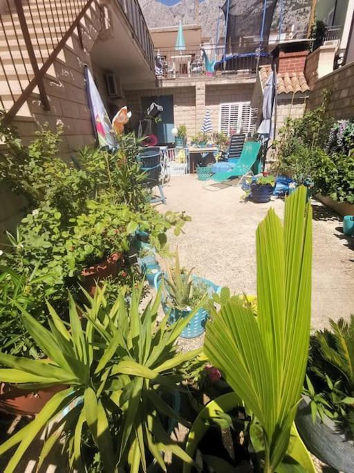 Apartment Blue Oasis 2-6