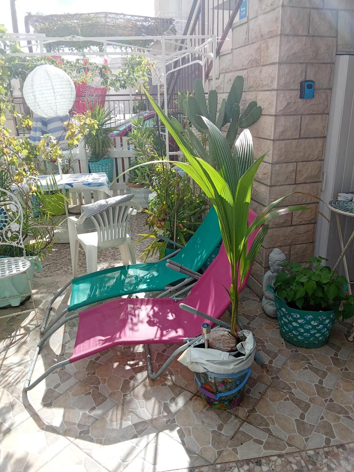 Blue Oasis 2-6 Apartman *