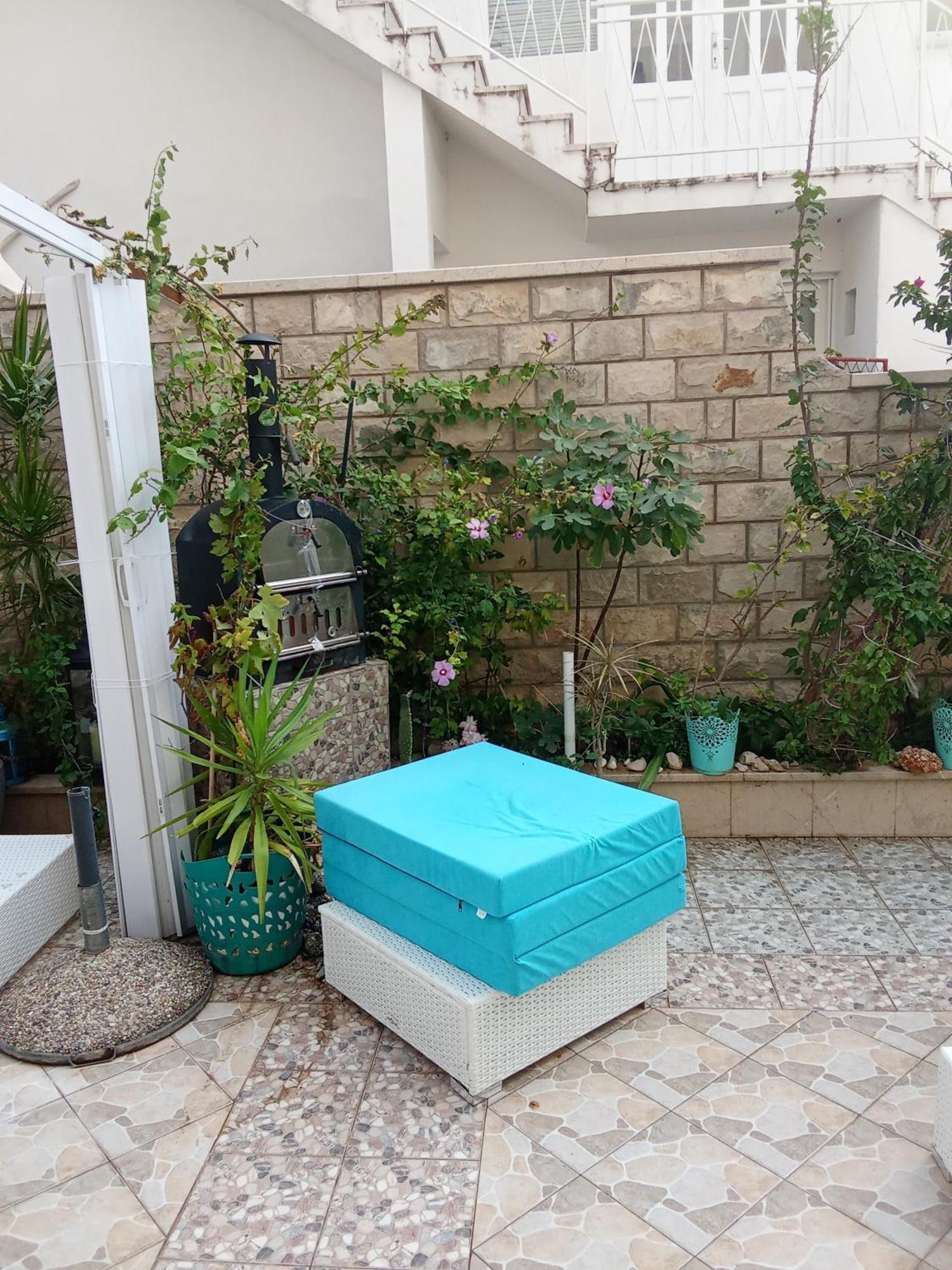 Blue Oasis 2-6