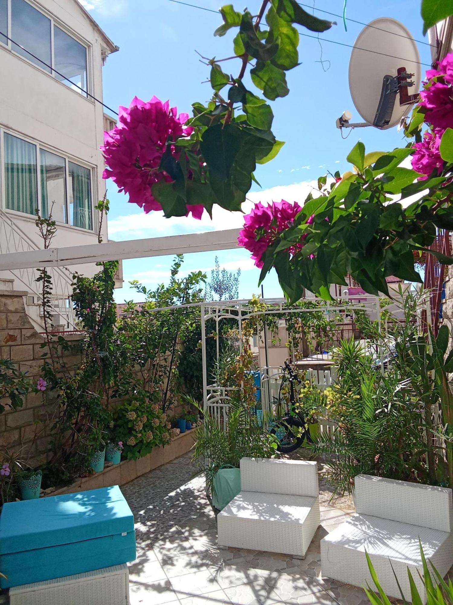 Blue Oasis 2-6 *